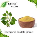 Houttuynia cordata Extract