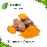 Turmeric Extract