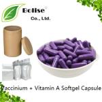 Vaccinium + Vitamin A Softgel Capsule