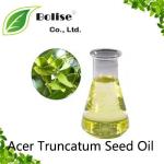 Acer Truncatum Seed Oil