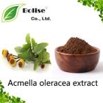 Acmella oleracea extract