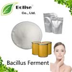 Bacillus Ferment
