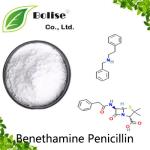 Benethamine Penicillin