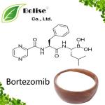 Bortezomib