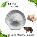 Bovine Bone Marrow Polypeptide