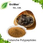 Cistanche Polypeptides