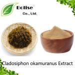 Cladosiphon okamuranus Extract