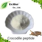 Crocodile peptide