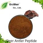 Deer Antler Peptide