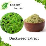Duckweed Extract