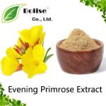 Evening Primrose Extract