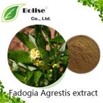 Fadogia Agrestis extract