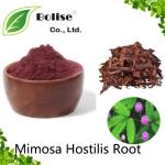 Mimosa Hostilis Root