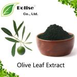 Olive Leaf Extract