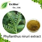 Phyllanthus niruri extract