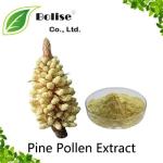 Pine Pollen Extract