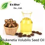 Plukenetia Volubilis Seed Oil