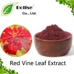 Red Vine Leaf Extract