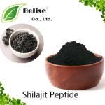 Shilajit Peptide
