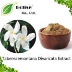 Tabernaemontana Divaricata Extract
