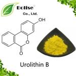 Urolithin B