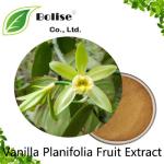 Vanilla Planifolia Fruit Extract