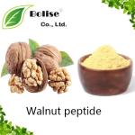 Walnut peptide