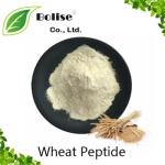 Wheat Peptide