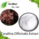 Corallina Officinalis Extract