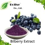 Bilberry Extract