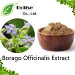 Borago Officinalis Extract