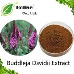 Buddleja Davidii Extract