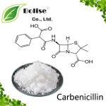 Carbenicillin