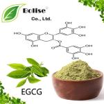 EGCG
