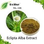 Eclipta Alba Extract
