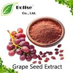 Grape Seed Extract