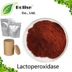 Lactoperoxidase