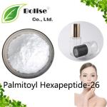 Palmitoyl Hexapeptide-26