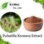 Pulsatilla Koreana Extract