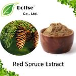 Red Spruce Extract