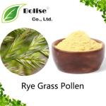 Rye Grass Pollen