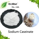 Sodium Caseinate