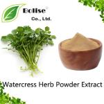 Watercress Herb Powder Extract
