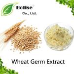 Wheat Germ Extract