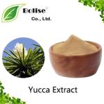 Yucca Extract