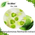 Chlamydomonas Reinhardtii Extract