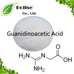 Guanidinoacetic Acid