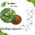 Quillaja saponin