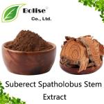 Suberect Spatholobus Stem Extract