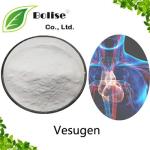 Vesugen